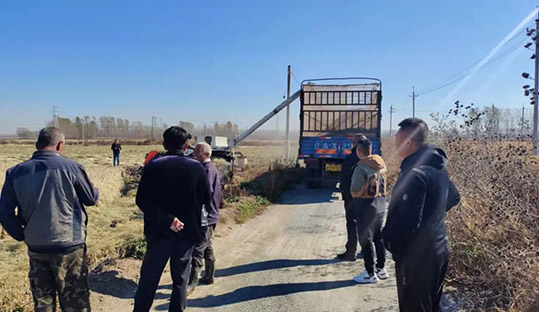 w66����(�й��ٷ���վ)