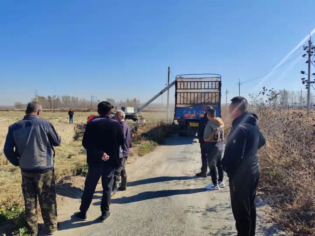 w66����(�й��ٷ���վ)