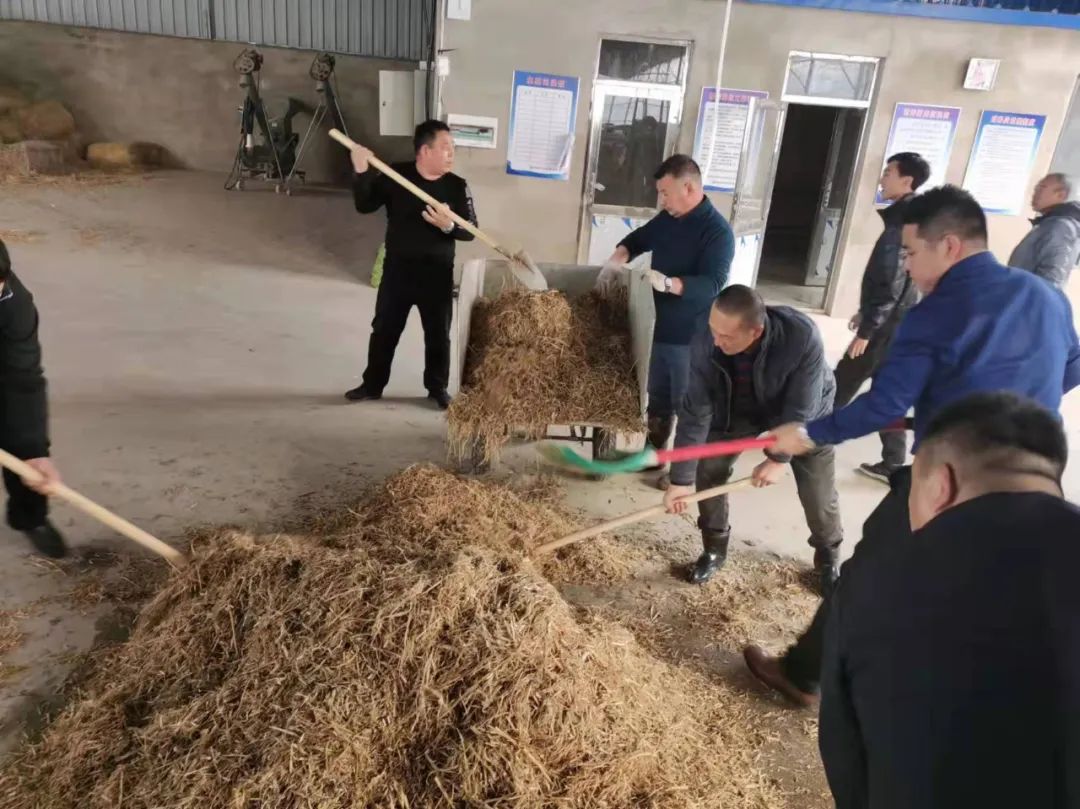 w66����(�й��ٷ���վ)