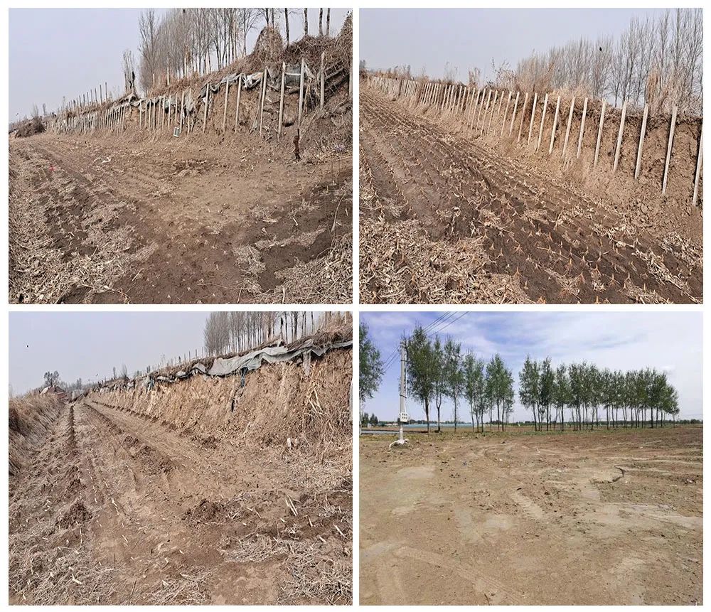 w66����(�й��ٷ���վ)