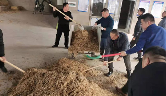 w66����(�й��ٷ���վ)