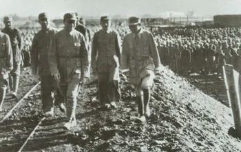 w66����(�й��ٷ���վ)