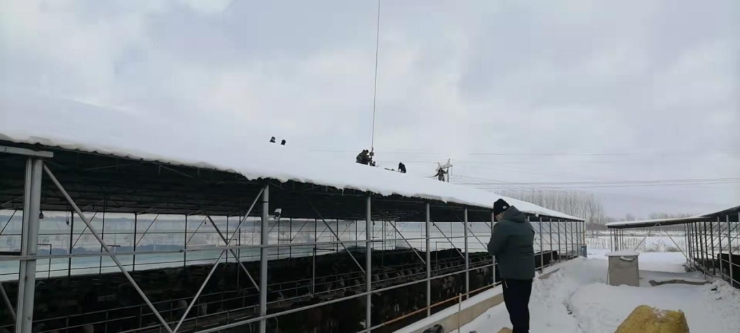 w66����(�й��ٷ���վ)