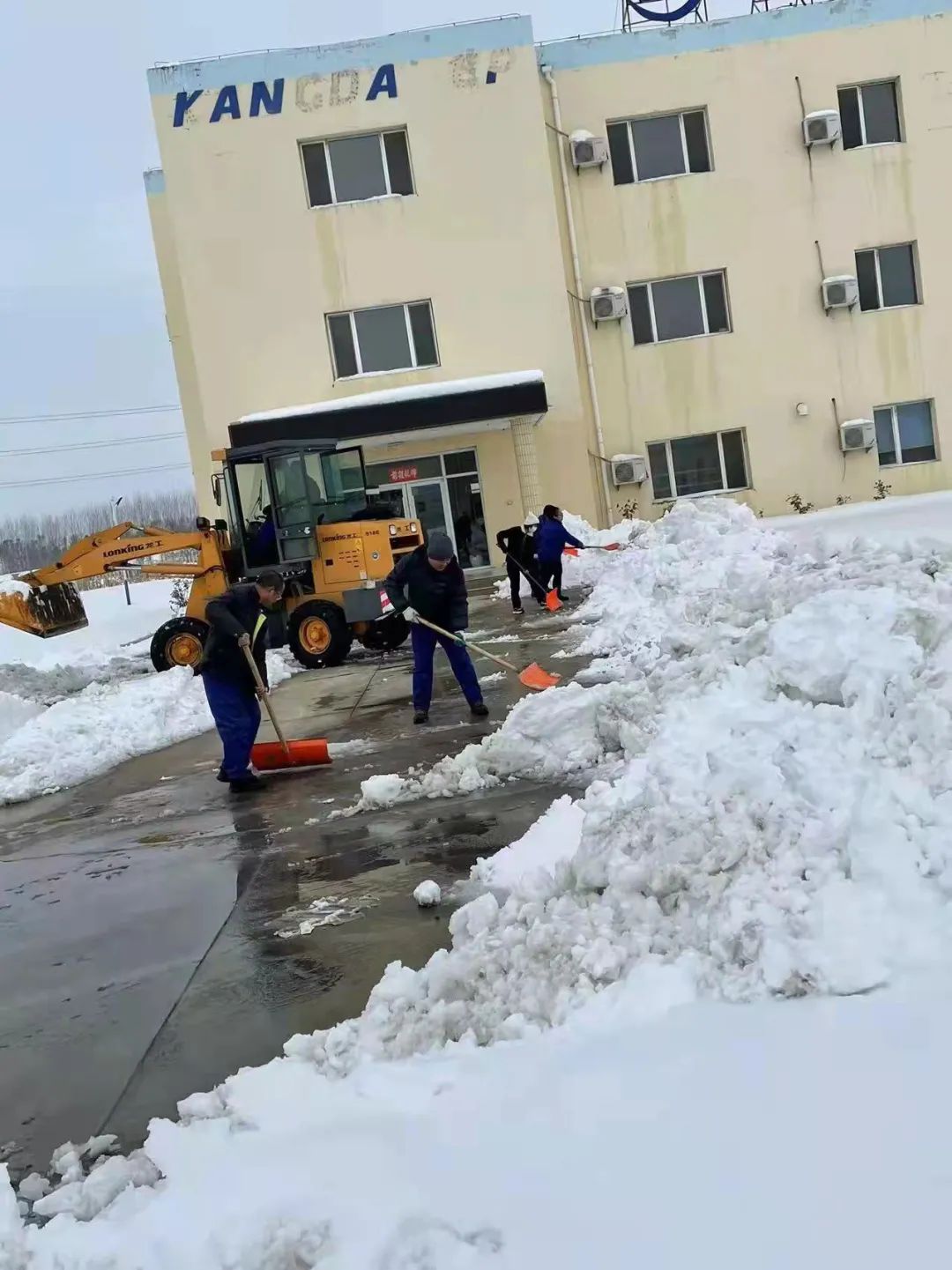 w66����(�й��ٷ���վ)