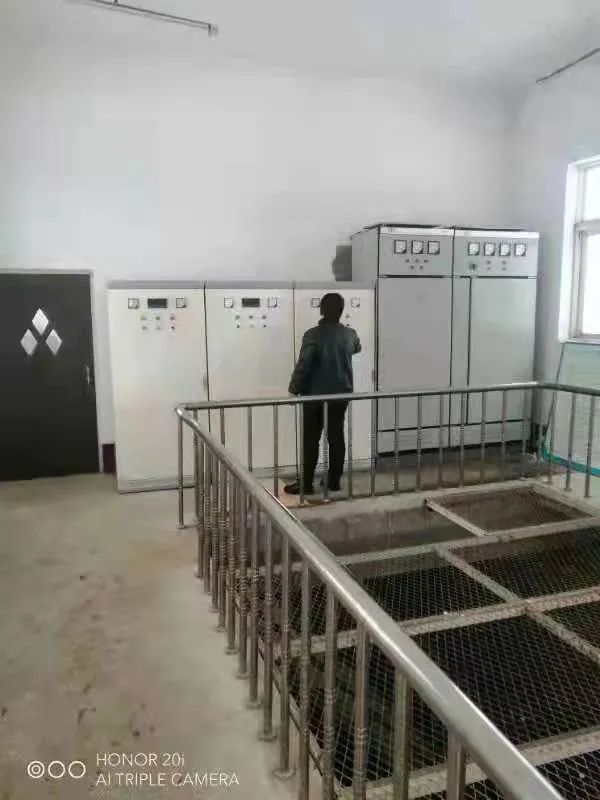 w66����(�й��ٷ���վ)