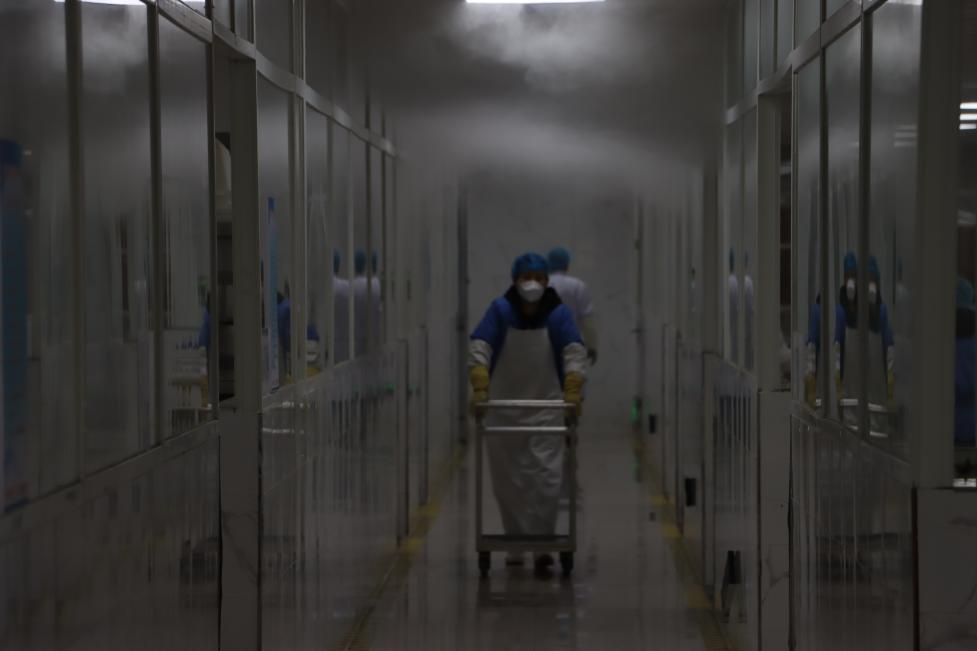 w66����(�й��ٷ���վ)