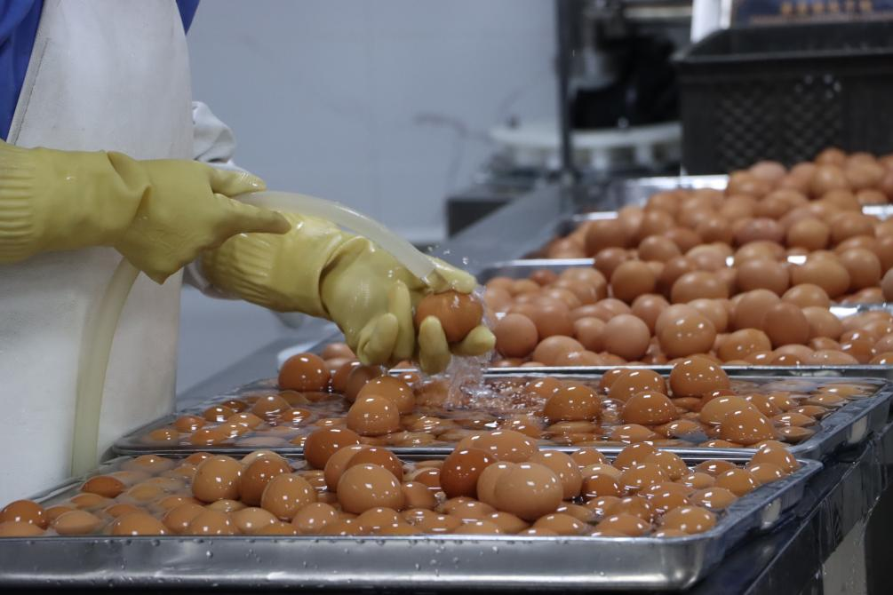 w66����(�й��ٷ���վ)