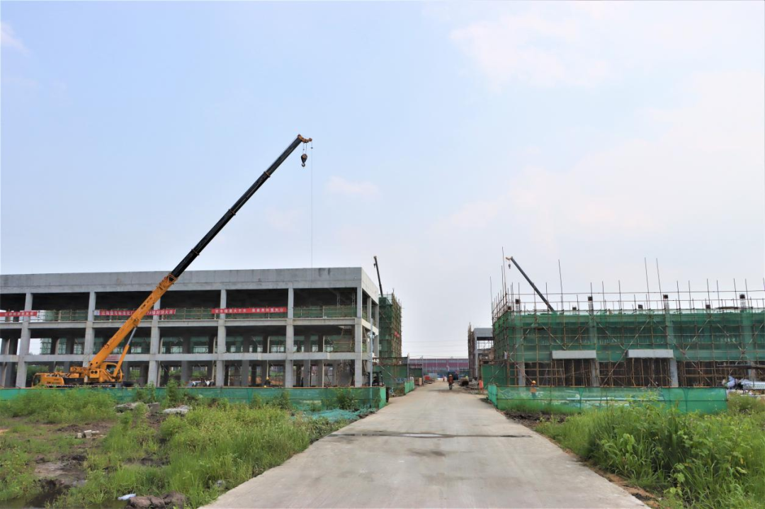 w66����(�й��ٷ���վ)