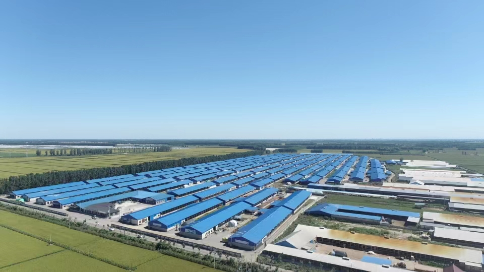 w66ÀûÀ´(Öйú¹Ù·½ÍøÕ¾)