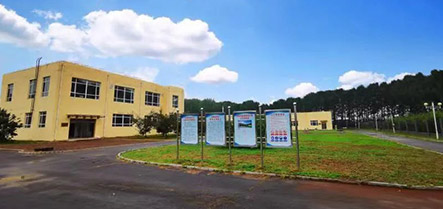 w66����(�й��ٷ���վ)