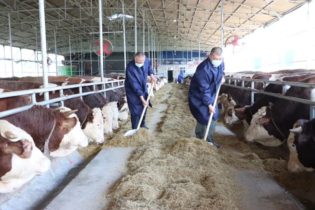 w66ÀûÀ´(Öйú¹Ù·½ÍøÕ¾)