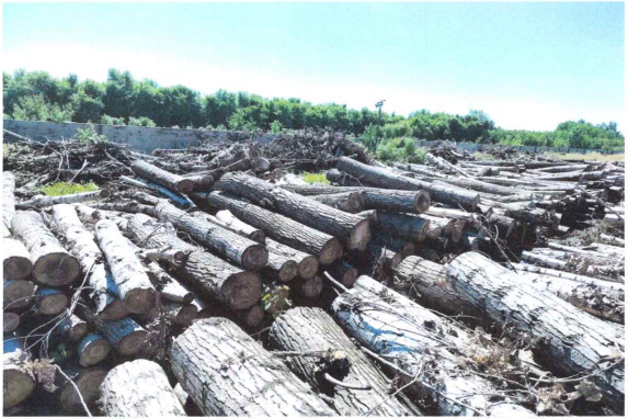 w66����(�й��ٷ���վ)