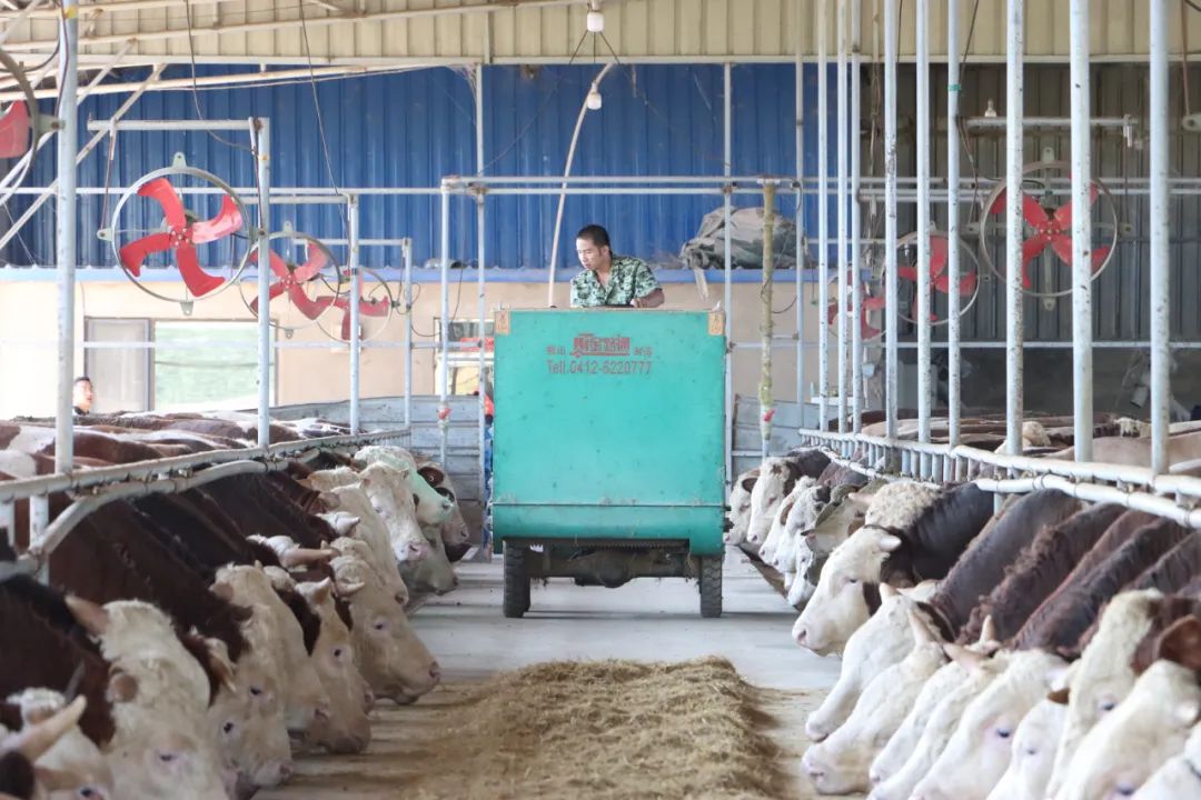 w66ÀûÀ´(Öйú¹Ù·½ÍøÕ¾)