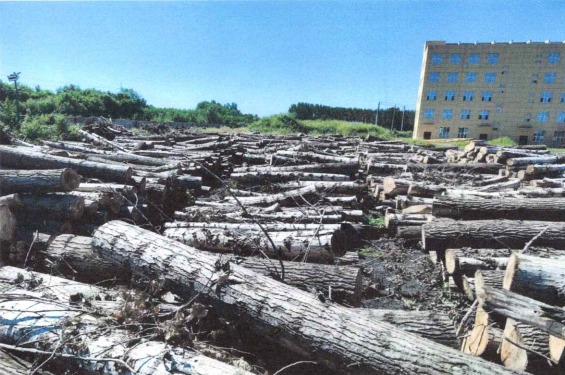 w66����(�й��ٷ���վ)