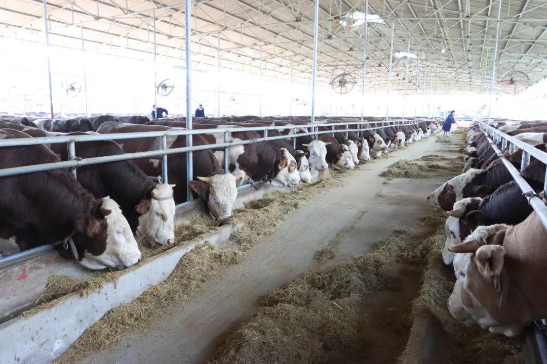 w66ÀûÀ´(Öйú¹Ù·½ÍøÕ¾)