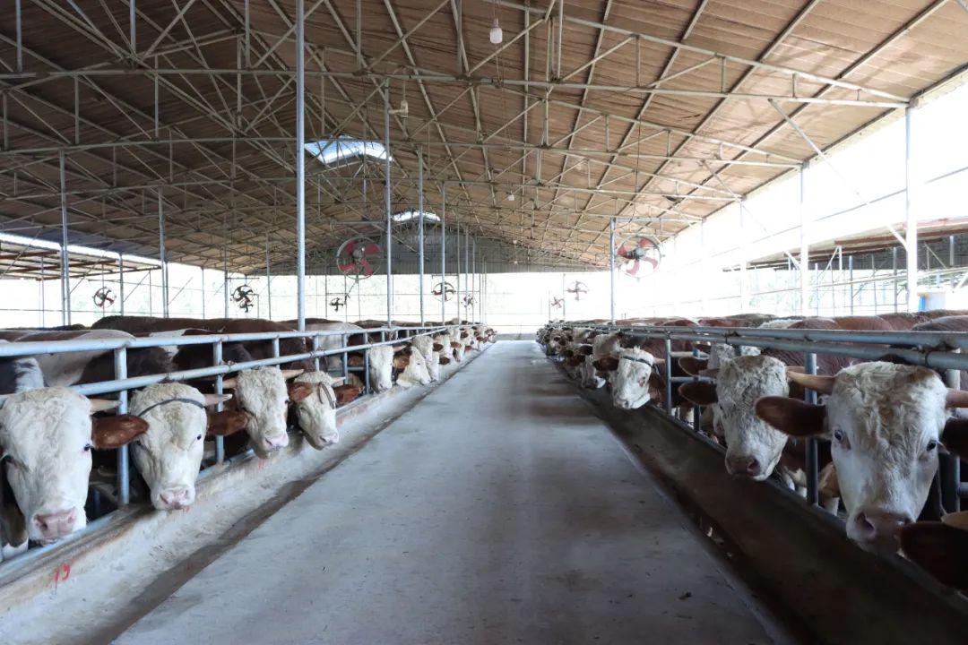 w66ÀûÀ´(Öйú¹Ù·½ÍøÕ¾)