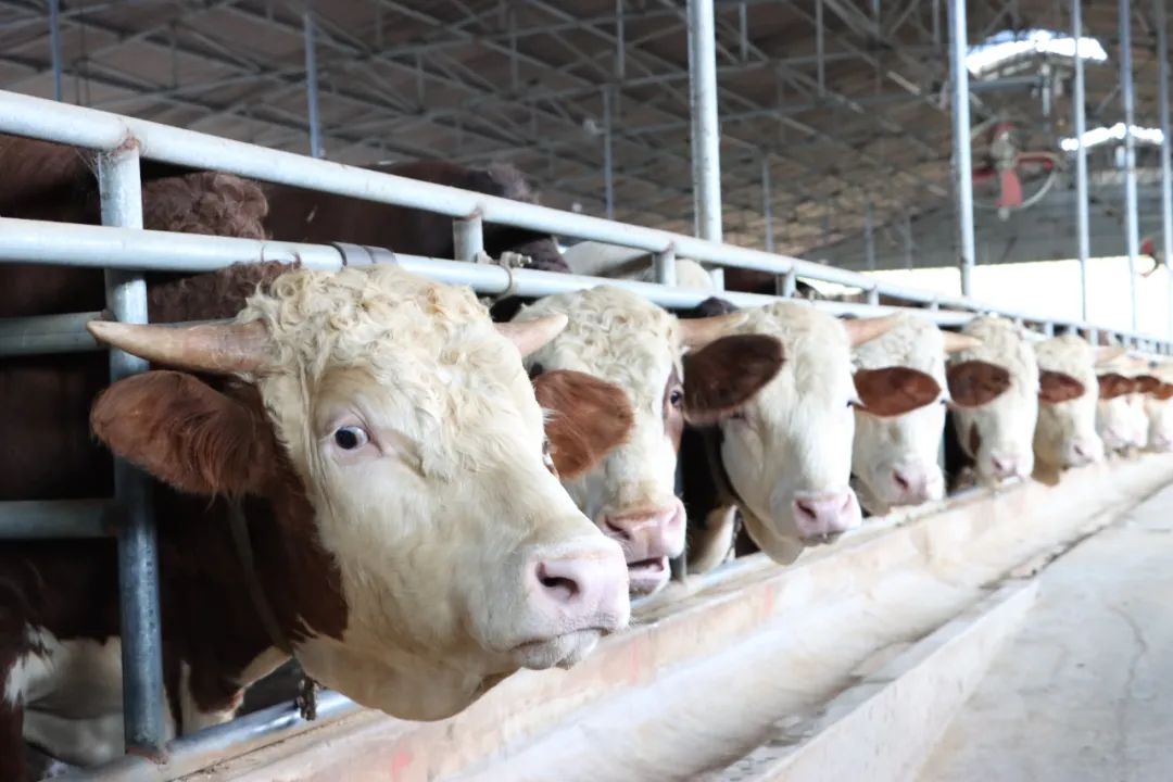 w66ÀûÀ´(Öйú¹Ù·½ÍøÕ¾)