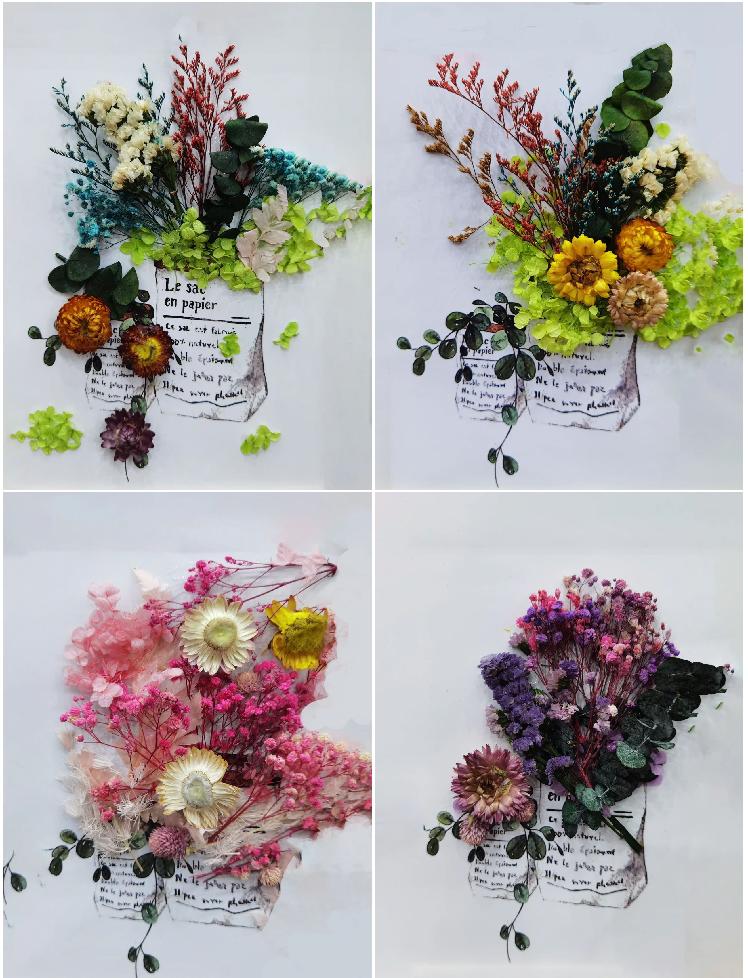 w66����(�й��ٷ���վ)