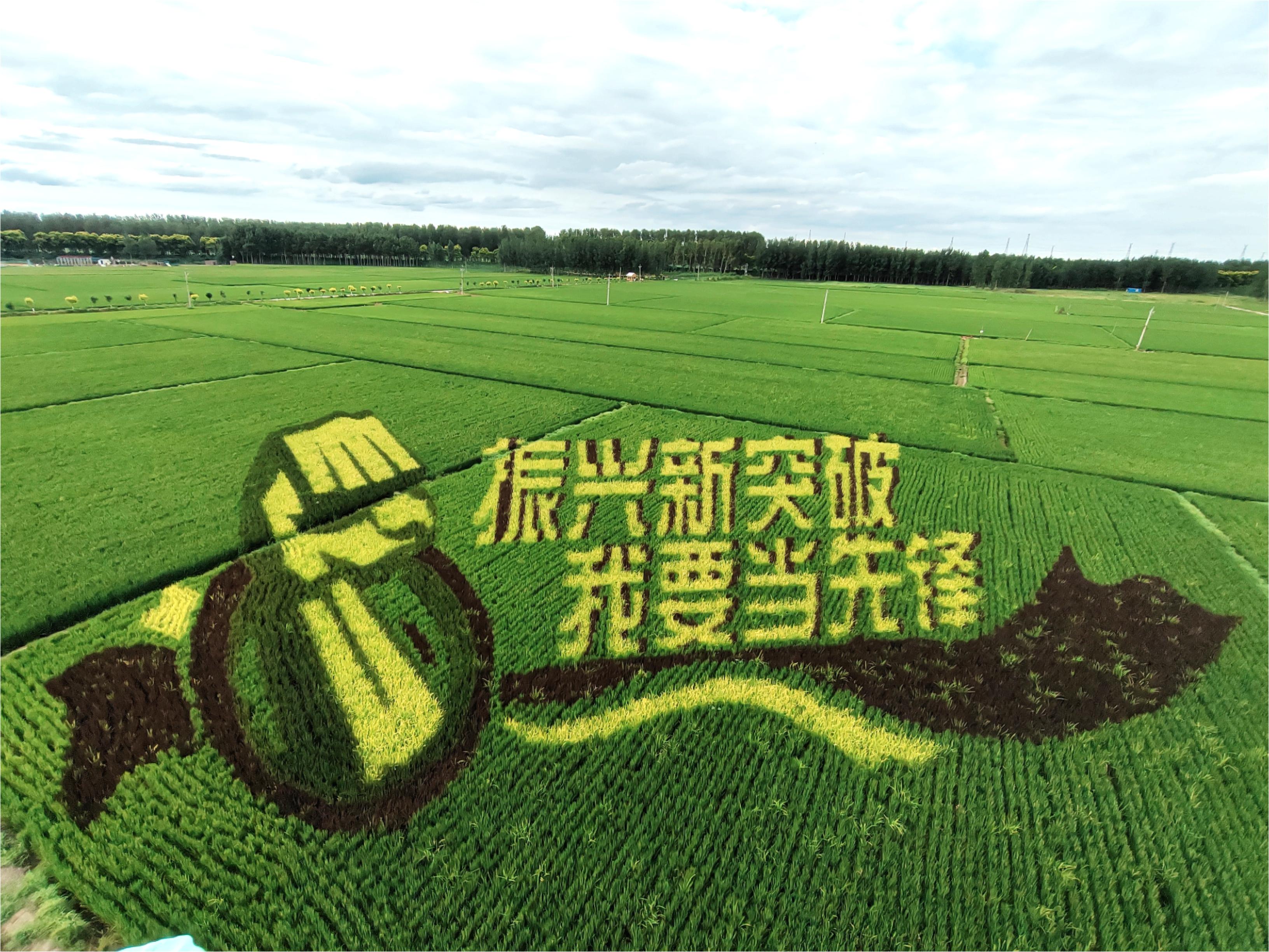 w66����(�й��ٷ���վ)