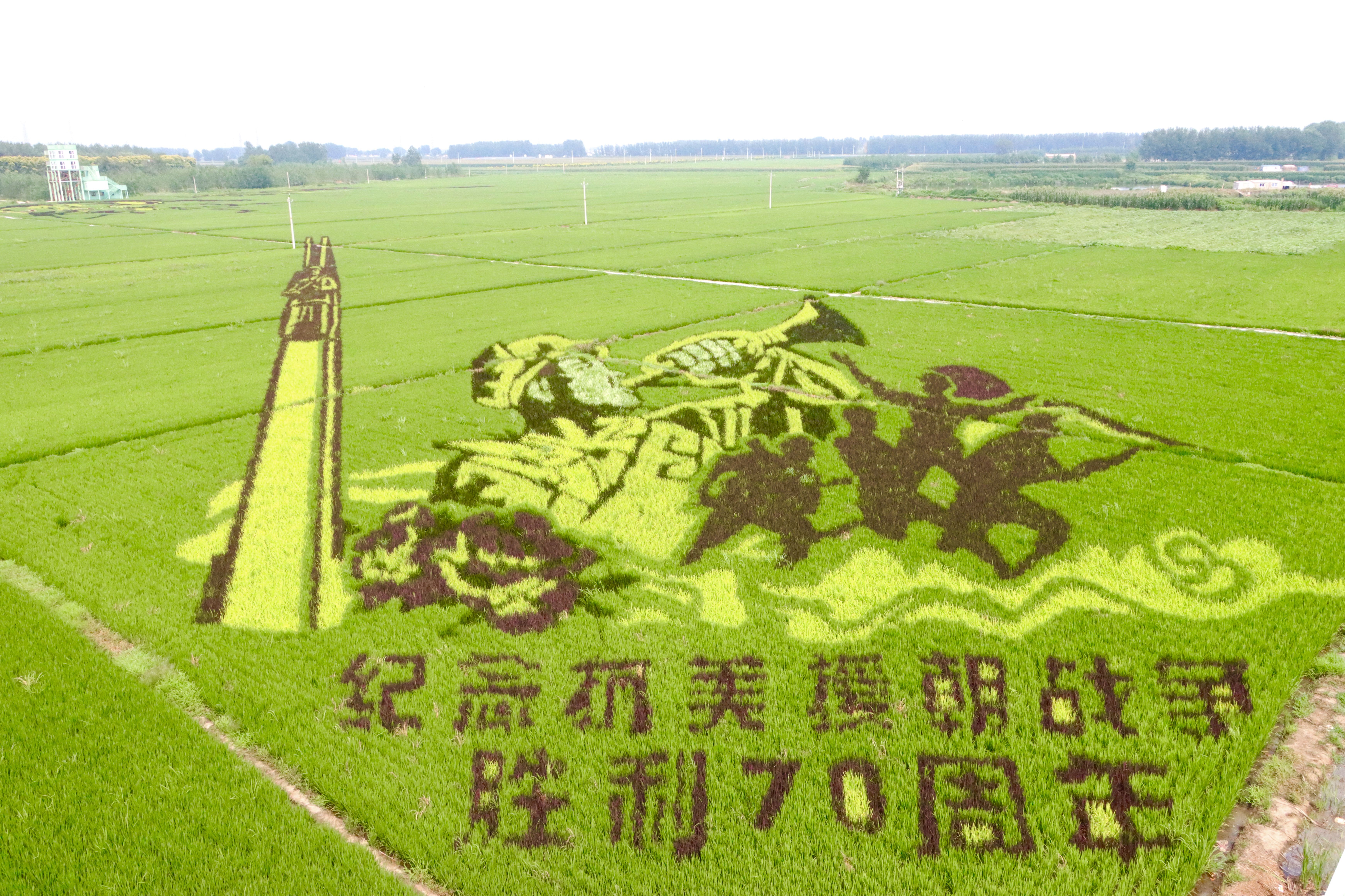 w66����(�й��ٷ���վ)