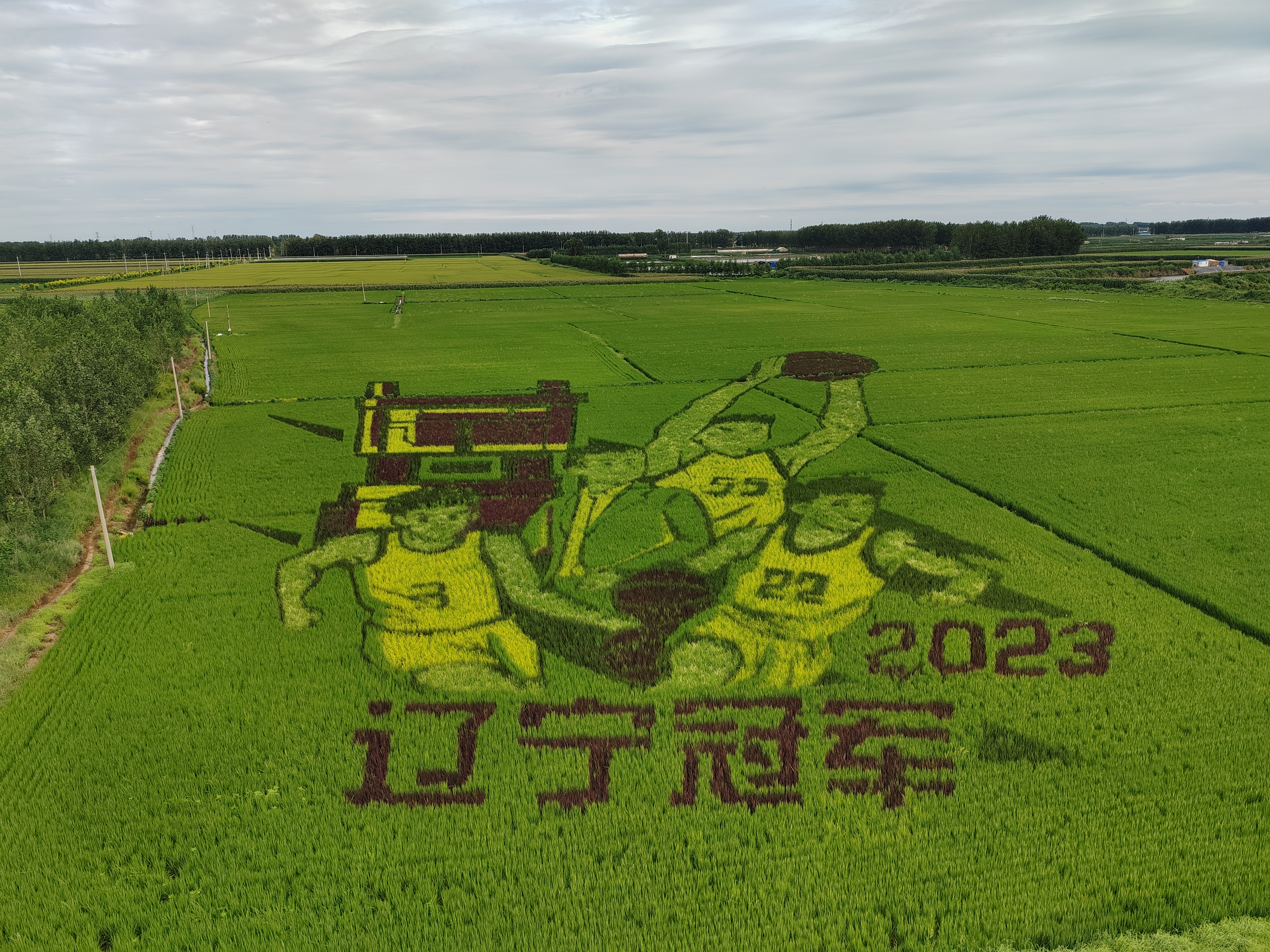 w66����(�й��ٷ���վ)