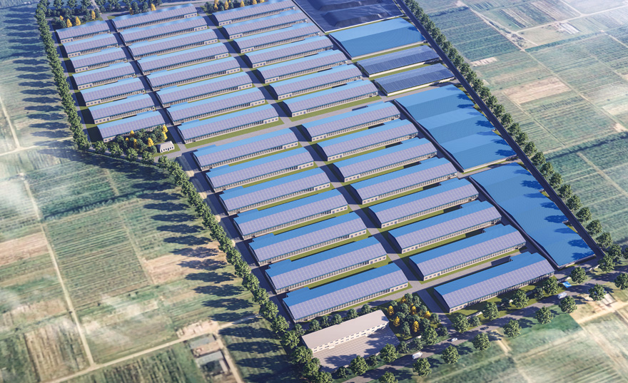 w66����(�й��ٷ���վ)