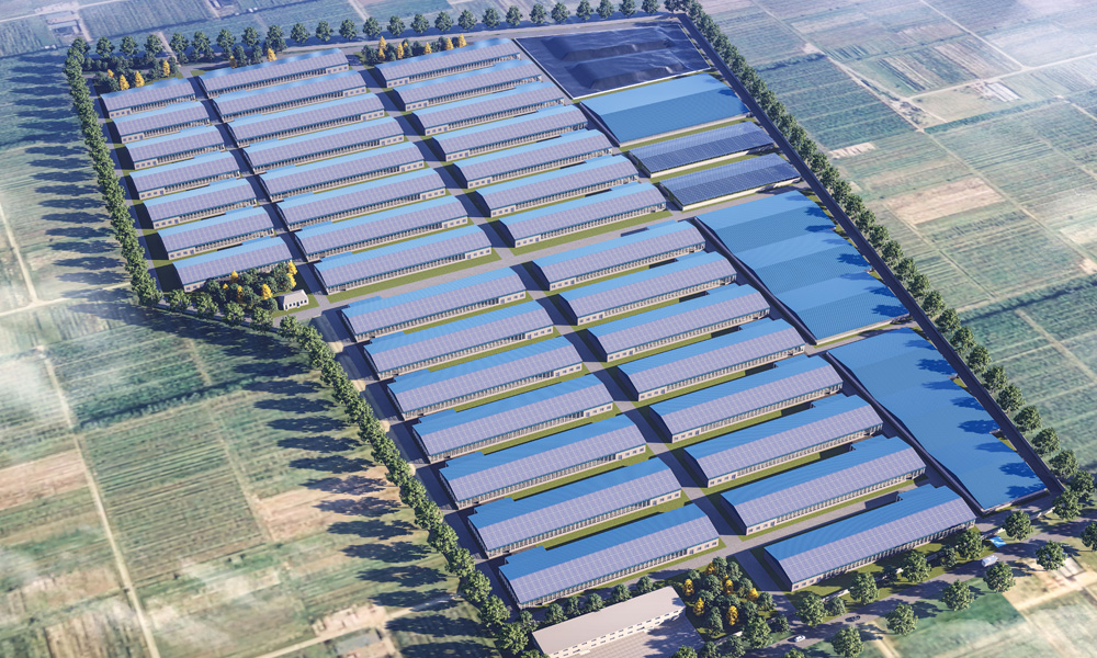 w66ÀûÀ´(Öйú¹Ù·½ÍøÕ¾)