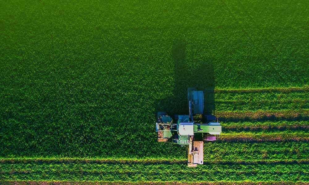 w66����(�й��ٷ���վ)