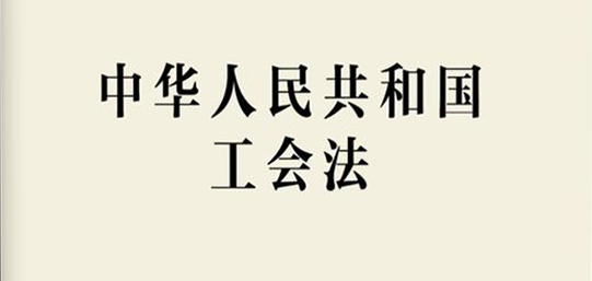 w66����(�й��ٷ���վ)