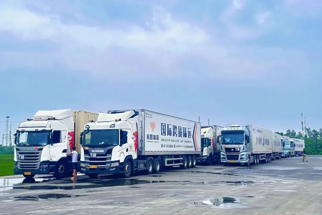 w66����(�й��ٷ���վ)