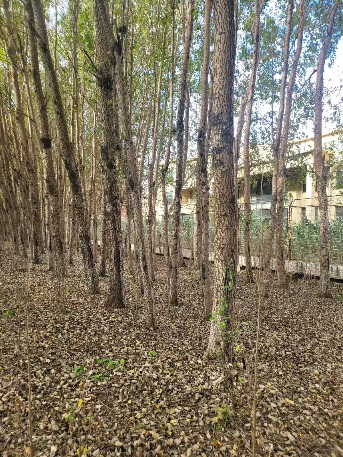 w66����(�й��ٷ���վ)